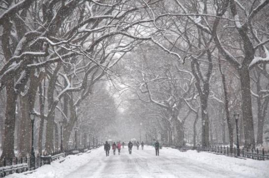 central-park-blizzard.jpg