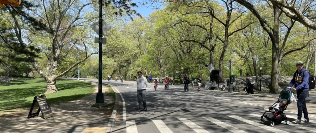 The Central Park Drive Has Major Traffic Issues -- and Here Come Legal ...