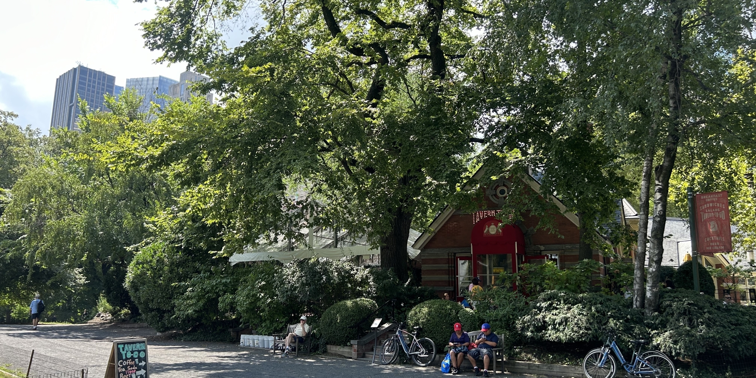 Famous 160-year-old elm tree in Central Park near Tavern on the Green to be cut down