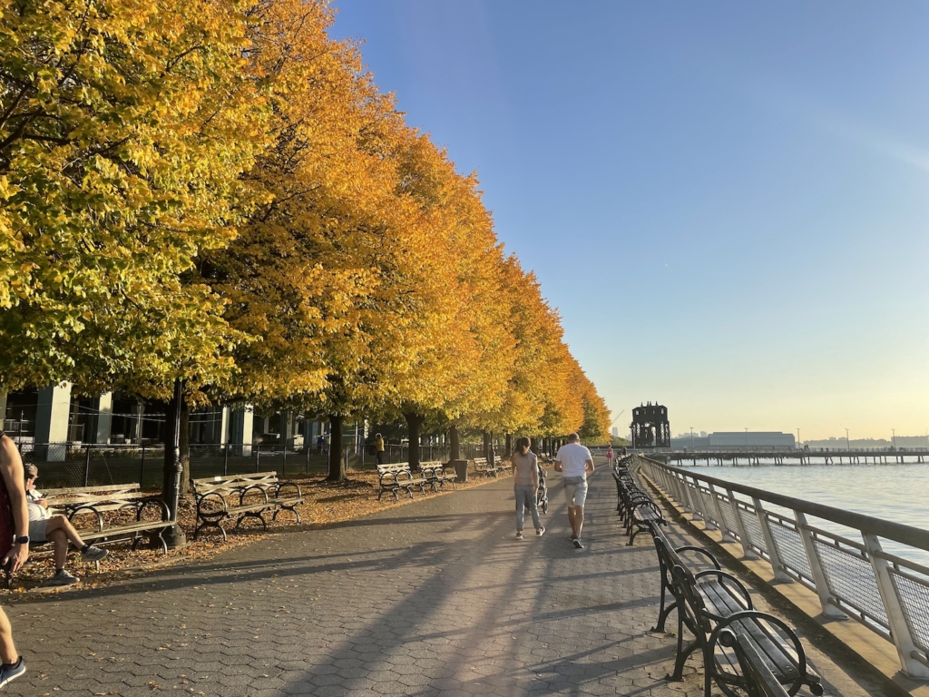 Trees in Riverside Park.